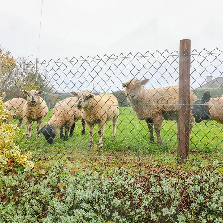 Semesterbostad Rose *